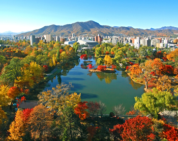 中島公園
 - 楓葉名所