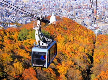 札幌藻岩山高空纜車
 - 楓葉名所