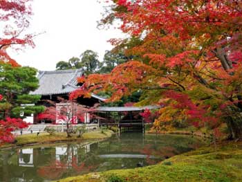 高台寺
 - 楓葉名所