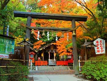 野宮神社
 - 楓葉名所