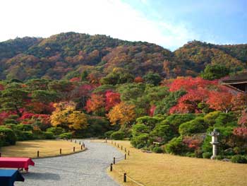 大河內山莊庭園
 - 楓葉名所