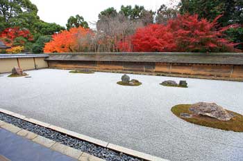 龍安寺
 - 楓葉名所