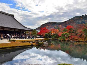 天龍寺
 - 楓葉名所