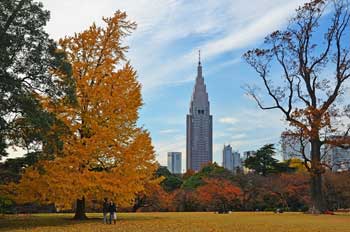 新宿御苑
 - 楓葉名所