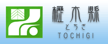 櫪木