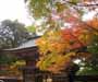 大矢田神社