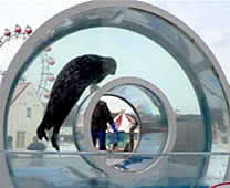 登別尼克斯海洋公園 - 海豹圓圈游泳池