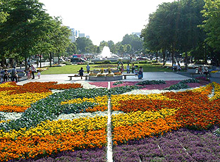 札幌大通公園 - 花壇