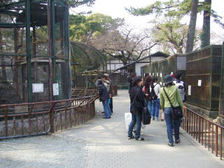 動物園-小田原城址公園