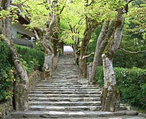 寂光院 - 参道