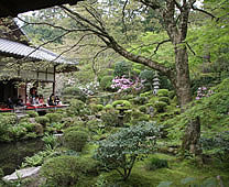 三千院 - 客殿及聚碧園