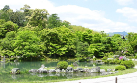 天龍寺 - 曹源池庭園