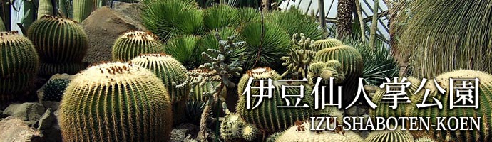 伊豆仙人掌公園