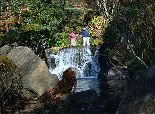 姬澤公園