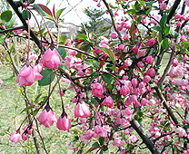 木場公園