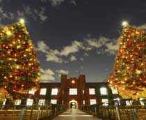 立教大學 - 聖誕節燈飾
