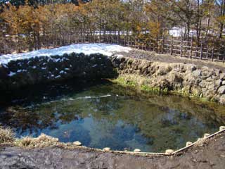 湧池-忍野八海